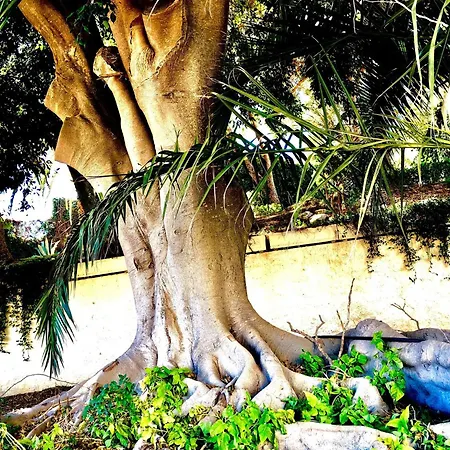 Jardim - Turisticos Αλμπουφέιρα