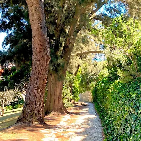 Ξενοδοχείο με διαμερίσματα Jardim - Turisticos 3*